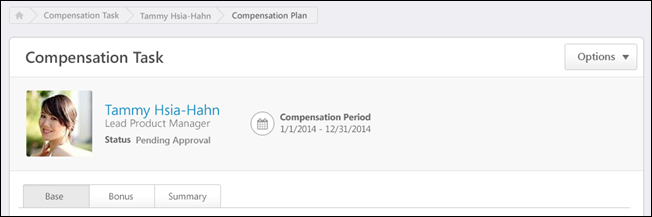 Compensation Plan - Summary/Read-only/Approval Tab